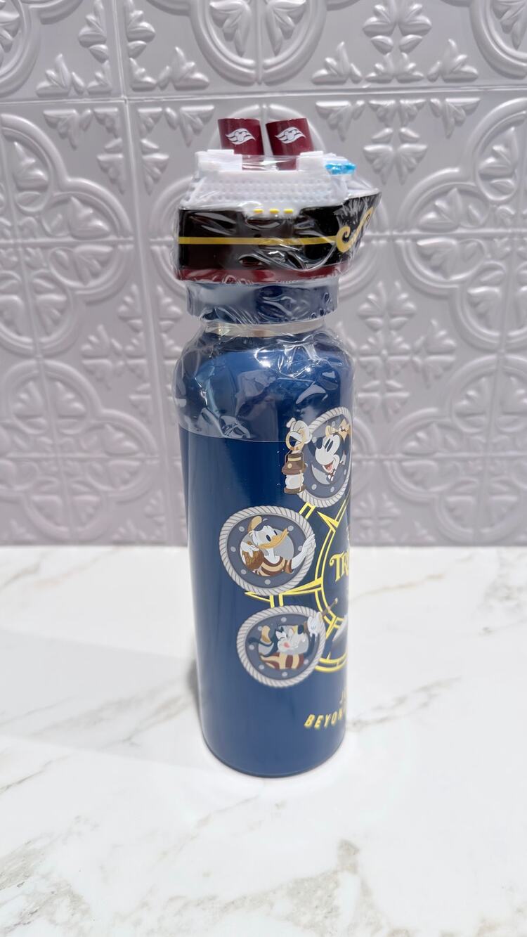 Disney Treasure Cruise Line Mickey & Friends Stainless Water Bottle 19 oz NEW